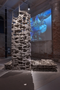 Biotopia: Propagative Structures - foto: Celestia Studio