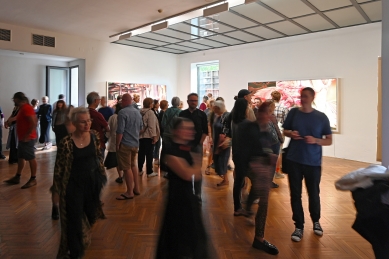 Helena Lukášová, Michal Palaščak: Viscera Domus - výstava v DUMB - foto: Petr Šmídek, 2025