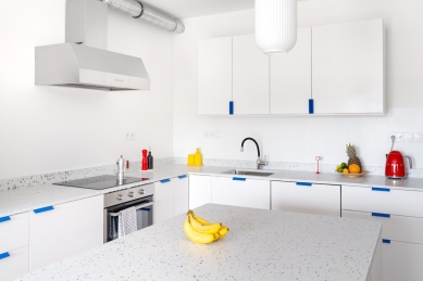 Plastic Guys: Brno's Circular Design Heads into a New Manufacturing Era