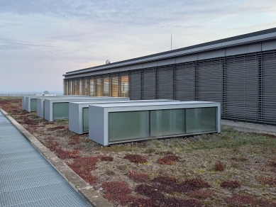The pool at Kraví hora in Brno has opened after almost four months of renovation costing 10 million CZK - foto: Petr Šmídek, 2025