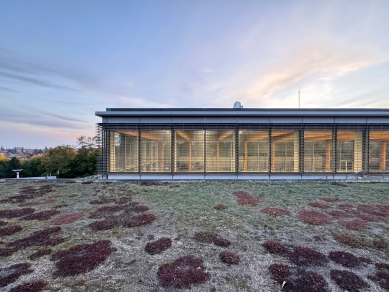 The pool at Kraví hora in Brno has opened after almost four months of renovation costing 10 million CZK - foto: Petr Šmídek, 2025