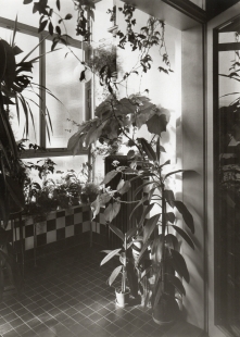Apartment of the Lorka couple - Winter garden in the apartment of the Lorka couple - foto: ateliér de Sandalo Brno. Zdroj soukromý archiv potomků rodiny
