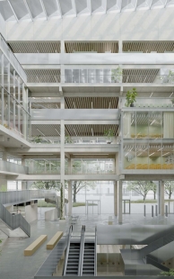 The competition determined the design of the new Brno city hall building, which will be more transparent and economical - foto: Tempo architekti