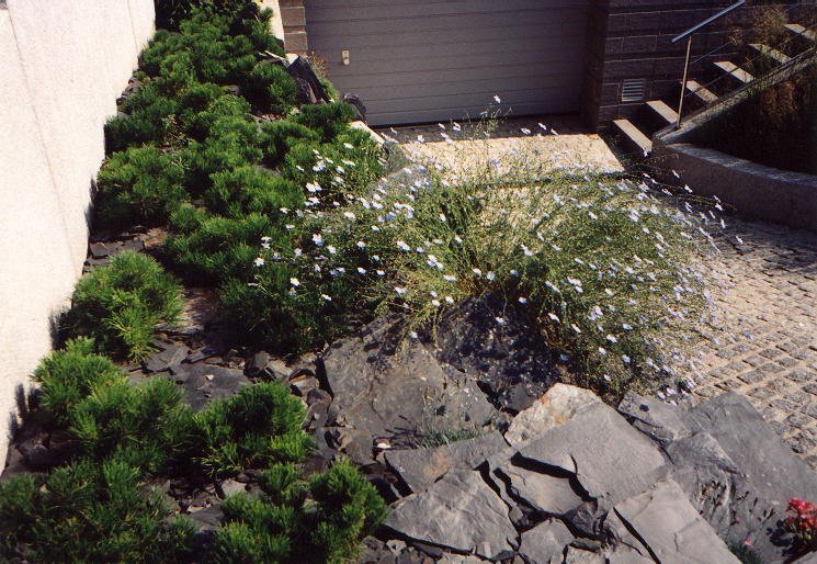 archiweb.cz Eva Wagnerová