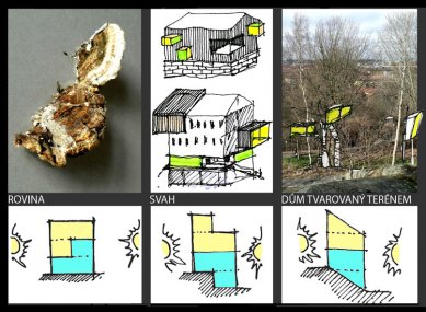 Vítězkou soutěže BIQ se stala Petra Krobotová - Petra Krobotová / Norra Guldheden, levné bydlení